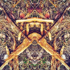 Song Of The West (Shamanic Drum)