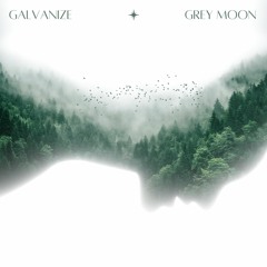 Galvanize