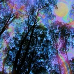 Art. 9 ft. @lisandrocometta y Lu Faccini