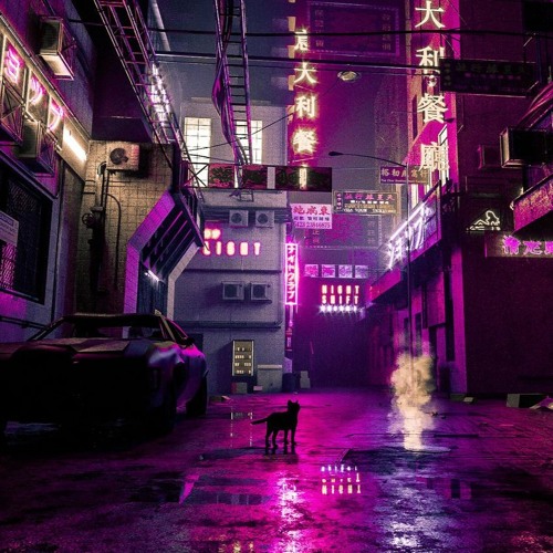 Floerk & Bob | Cybercat