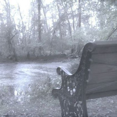 violence (16kibo + anfa.sw)