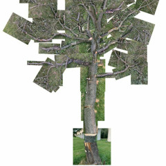 08 17 25 - thnksfall