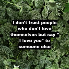 Im not afraid