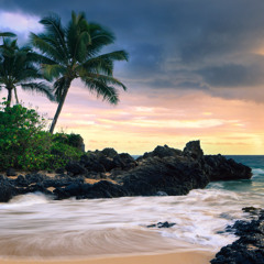 serene mix sessions: episode 044 (hawaii mix + hardstyle)