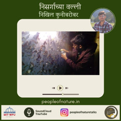 भाग २६ निखिल कुनी सोबत |  कोळी आणि पाखोळ्यांचे भन्नाट जग