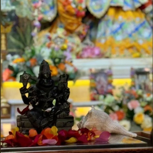 Dhaval  - Nrsimha Caturdashi Abhishek Kirtan @ Soho 2024