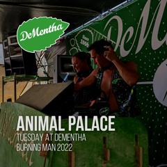 Animal Palace Live at Dementha // Tuesday BM2022