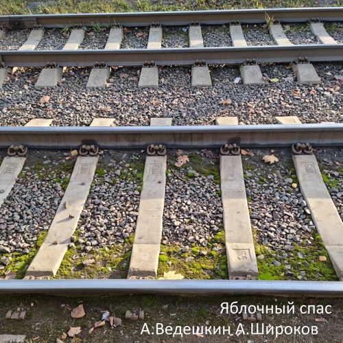 Яблочный Спас / Apple spas