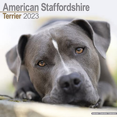 [Download] EBOOK 💏 American Staffordshire Terrier Calendar - Dog Breed Calendars - 2