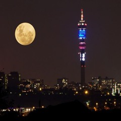 Dystopian Fever Dream