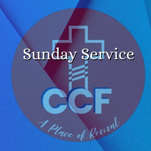 Are We Moving Forward With Love - Bob Kotlarz