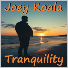 Joey Koala - Tranquility