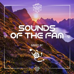 Sounds of the Fam | Mixed By: CB₁ | Presented By: Denver EDM Fam