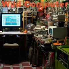 Wild Computer