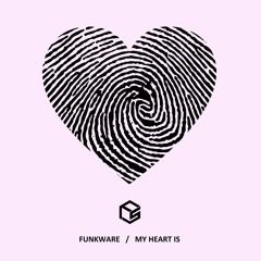 Funkware - Fury Load (Funkstuff Recordings)