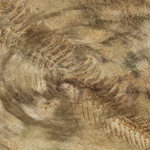𝑷𝒓𝒆𝒎𝒊𝒆𝒓𝒆: Conna Haraway - Void [FACE Æ VA003]