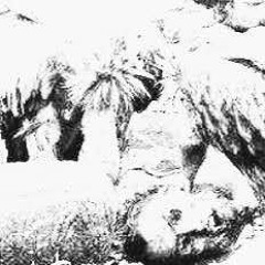 天葬 Celestial burial