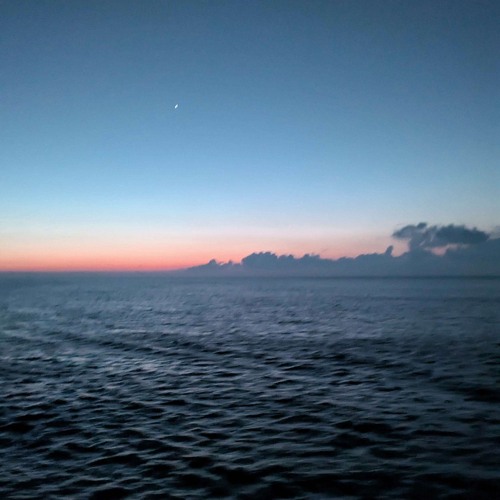 木漏れ日（デモ）