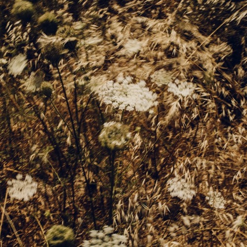 MARC SCHRÖDER / LILLI