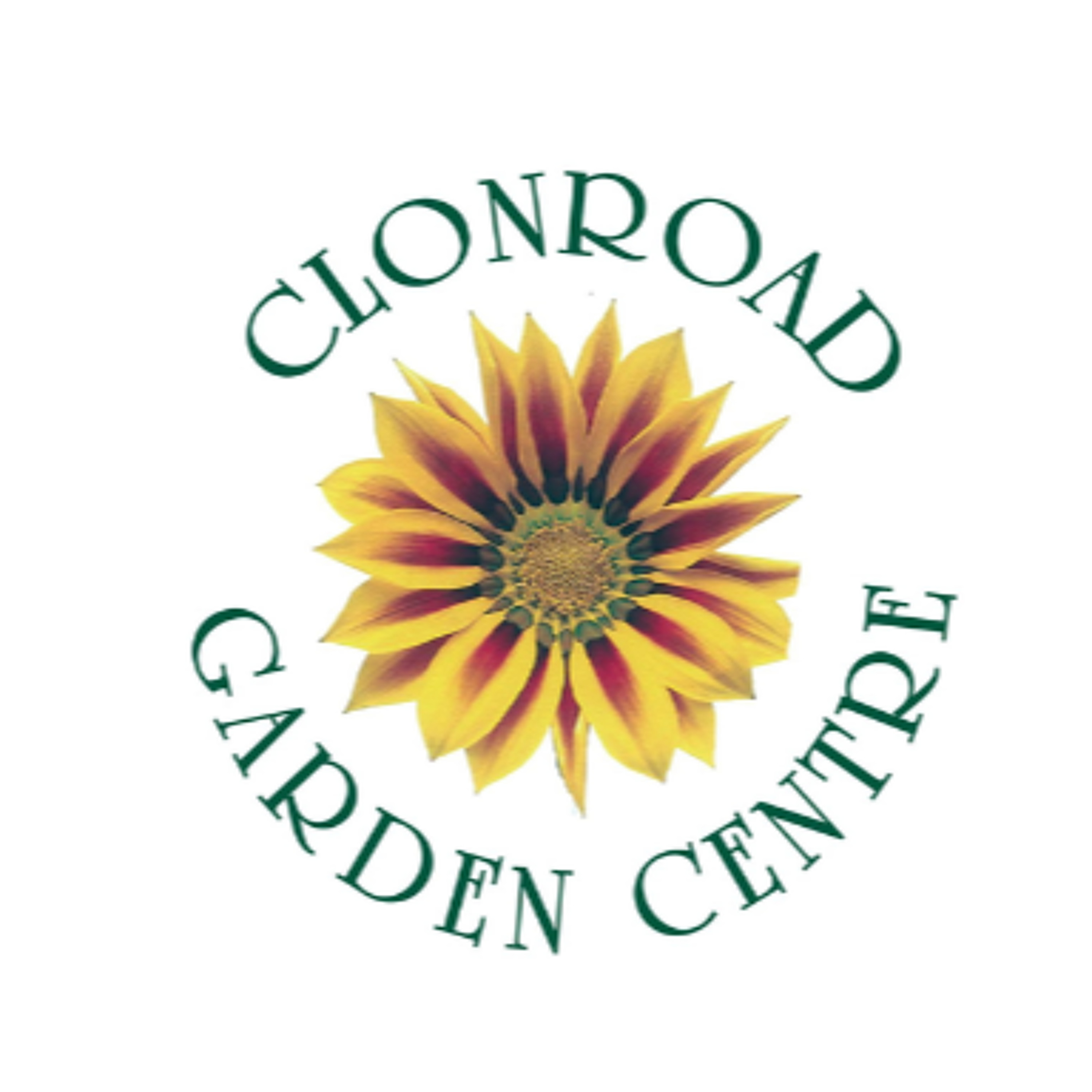In The Garden: Last Summer Flowering Perennials episode artwork