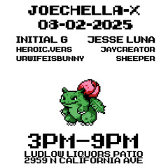 Live Mix from Joechella X (8/2/2025)