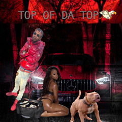 Top Of Da Top
