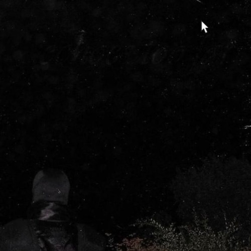 JPEGMAFIA - loop it and leave it (remix)