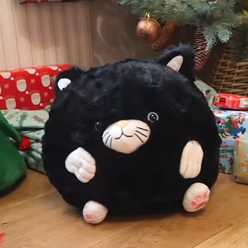 What Cats Want For Christmas