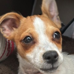 could've asked me freestyle prod sherlock!