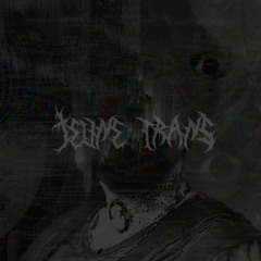 JEVNE TRANS