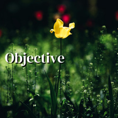 Objective