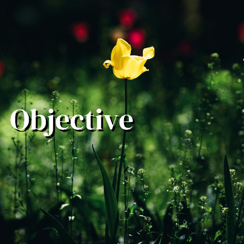 Objective