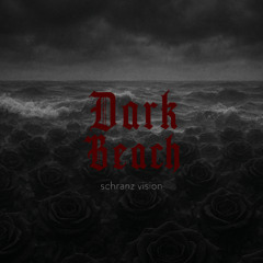 Dark Beach - Schranz vision (extended in free Dl)