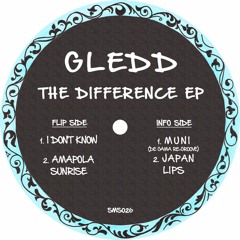 PREMIERE: Gledd - I Don't Know [Samosa Records]