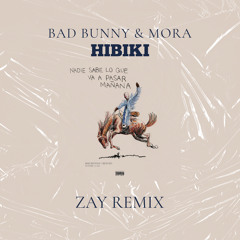Hibiki (Zay Remix)