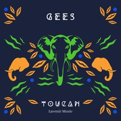 GeeS - Toucan (Orignal Mix)