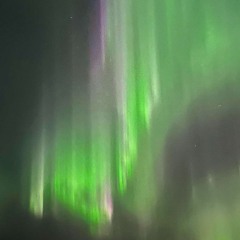 Northern Nights