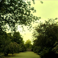 Dream Baby Dream (Cover)