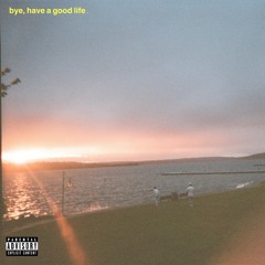 xavier weeks - bye, have a good life (prod. xavier weeks)