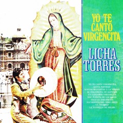 Yo te canto Virgencita