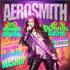 AEROSMITH LIVIN ON THE EDGE MASHUP.mp3