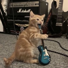 model b*tch (prod. burnymadeit)