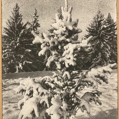 Winterwalking - Stereo