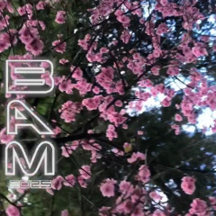 ✨🌸🌺”Cielo”🌺🌸✨