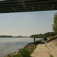 11 05 2022 SOUND POLLUTION UNDER THE WATER Danubio River