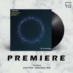 PREMIERE: Tantum - Scatter (Original Mix) [MEANWHILE]