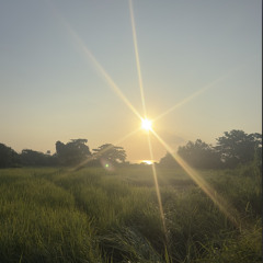 Ep16  Let's go on a trip Deep Tech Minimal / LOVE BALI VIBE