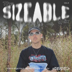 The Sizeable Mix Vol. 4: Blu:sh
