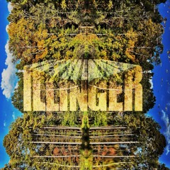 Illinger - Turtle Pond (Produced by Phillipdrummond) OUT NOW ON BANDCAMP @IllingerInc