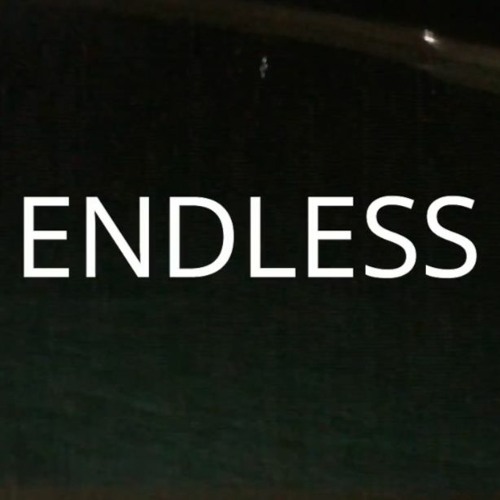 ENDLESS LOOP
